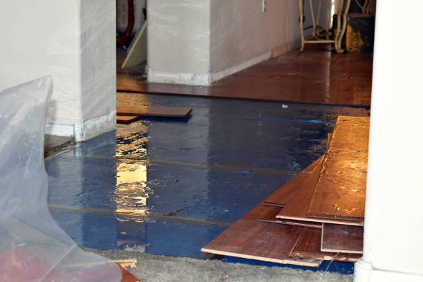 Professional Burst Pipe Cleanup technician working in Monee, IL